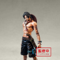Chronicle Series One Piece 2nd Episode - Portgas D. Ace Prize