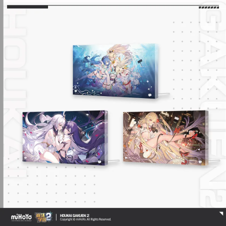 T090 "Honkai Gakuen 2"Character-Themed Acrylic Decorative Painting