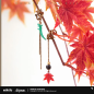 T256 "Honkai: Star Rail" Danheng Theme Impression Series Jewelry